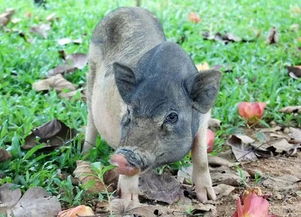 不只是海浪沙灘 海鮮大排檔與往返機(jī)票千元起